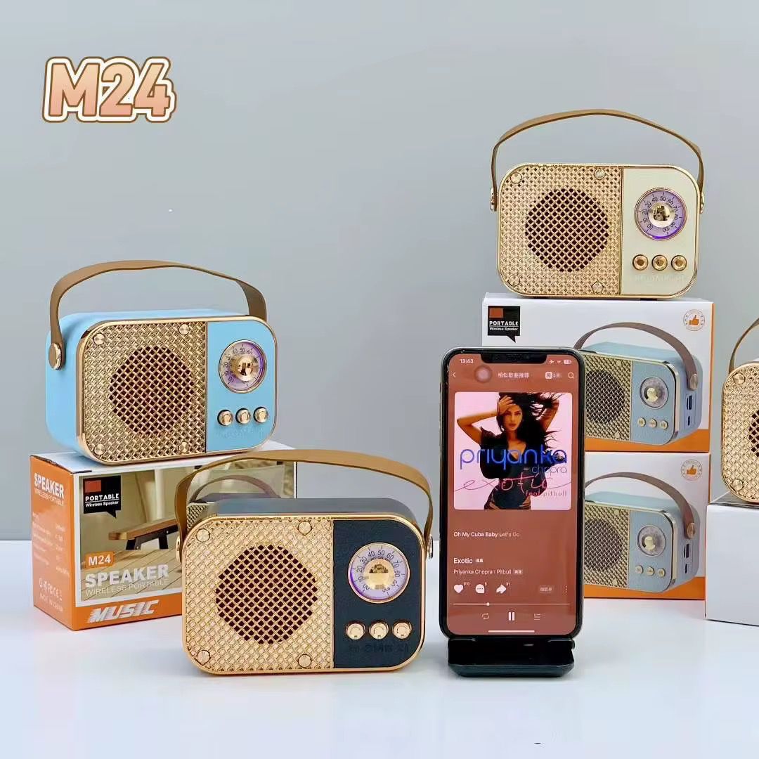 PG-M24 SPEAKER PORTABLE WIRELESS
