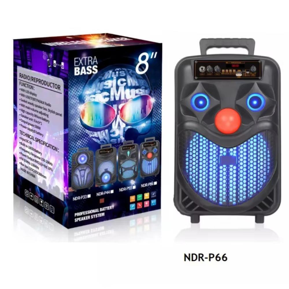 NDR-P66 SPEAKER BLUETOTH IŞIKLI