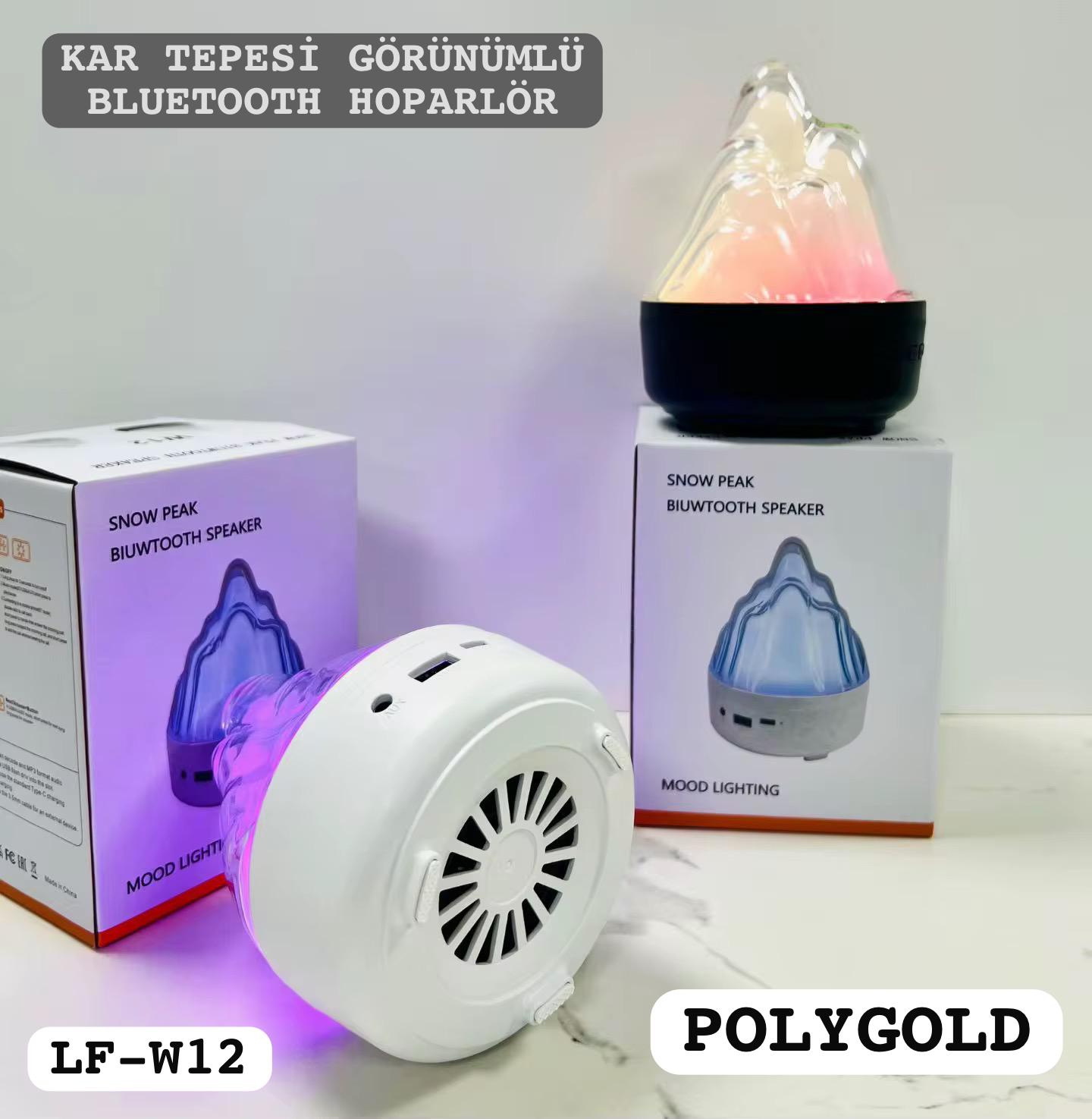 PG-W12 / OTANTİK LAMBA VE IŞIK SPEAKER