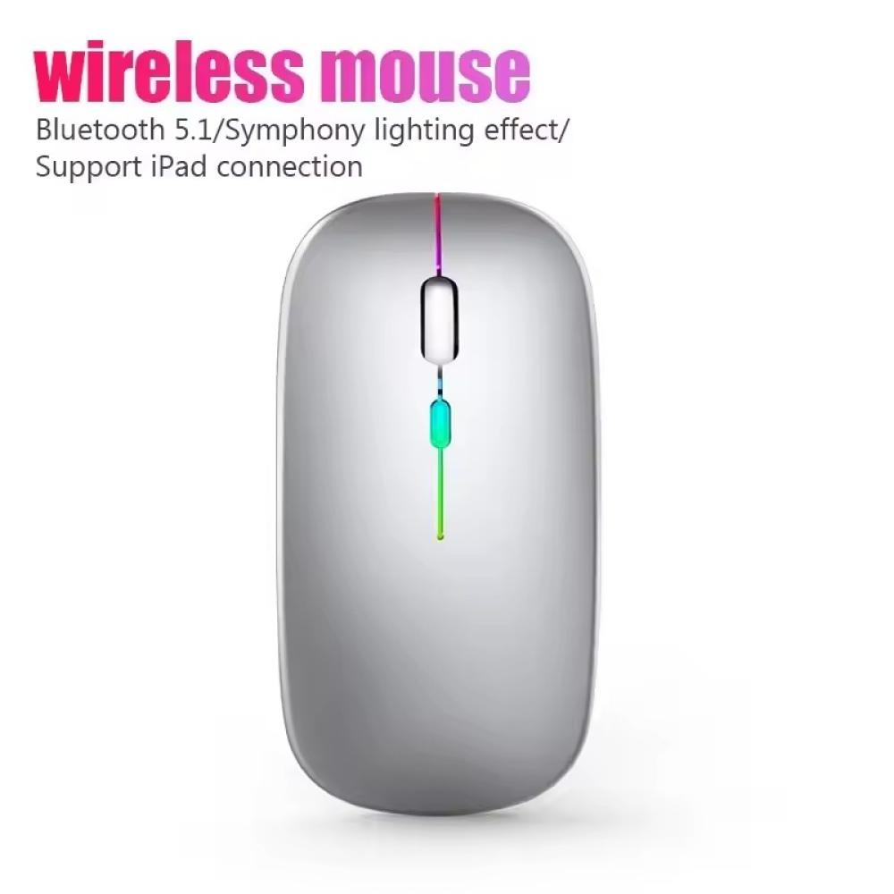 PG-9009 ŞARZLI WIRELESS MOUSE